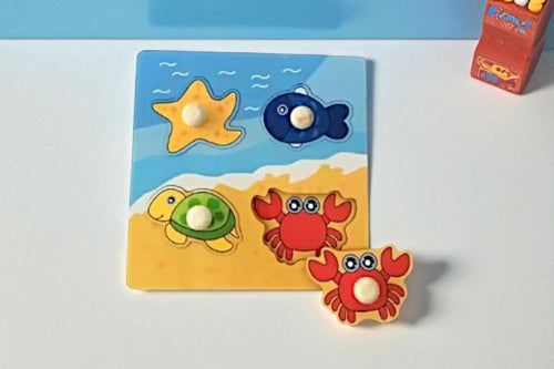 Baby Montessori Wooden Puzzles