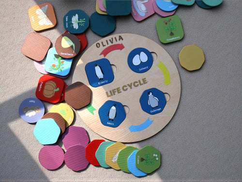 Montessori Life Cycle Puzzle for Kids
