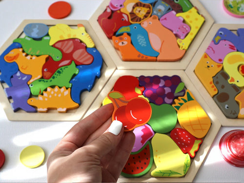Montessori Wooden Hexagon Puzzle Set
