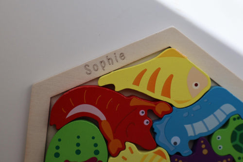 Montessori Wooden Hexagon Puzzle Set