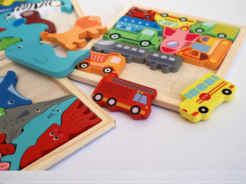 Montessori Wooden Puzzle Set