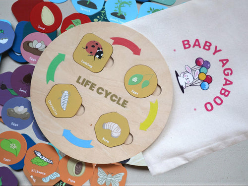 Montessori Life Cycle Puzzle for Kids